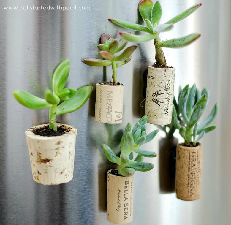 cork projects